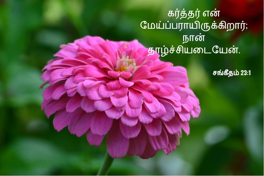 Psalm 23 in&nbsp;Tamil