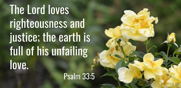 Psalm 33 :5