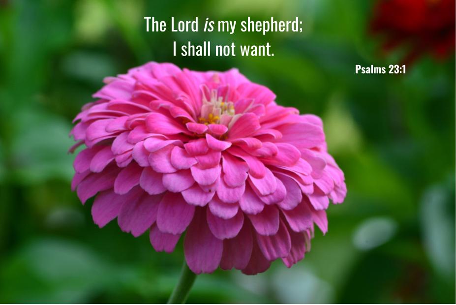 Psalm 23 :&nbsp;1
