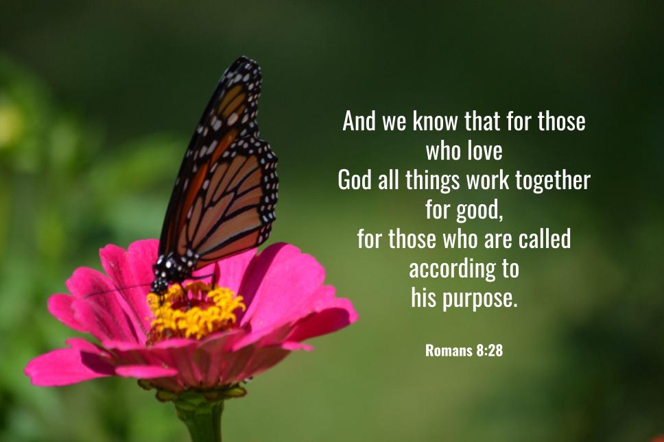 Romans 8:28