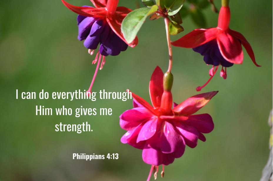 Philippians 4:13