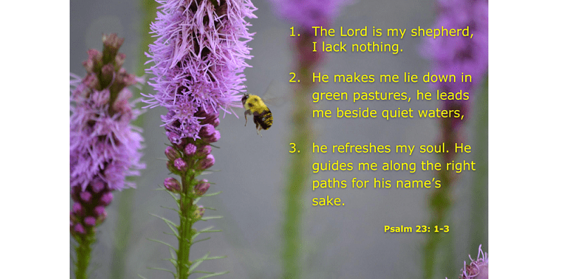 January Bible Verses