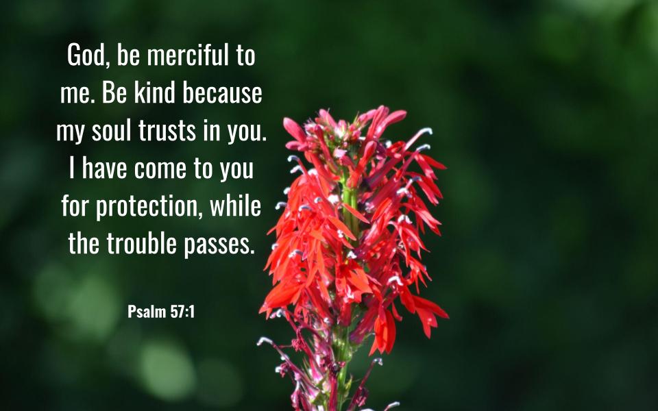 Psalm 57:1