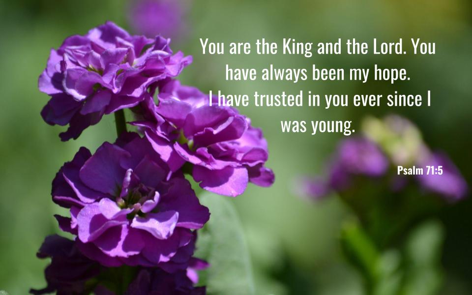 Psalm 71:5