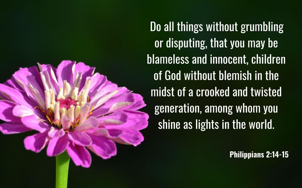 Philippians 2: 14-15