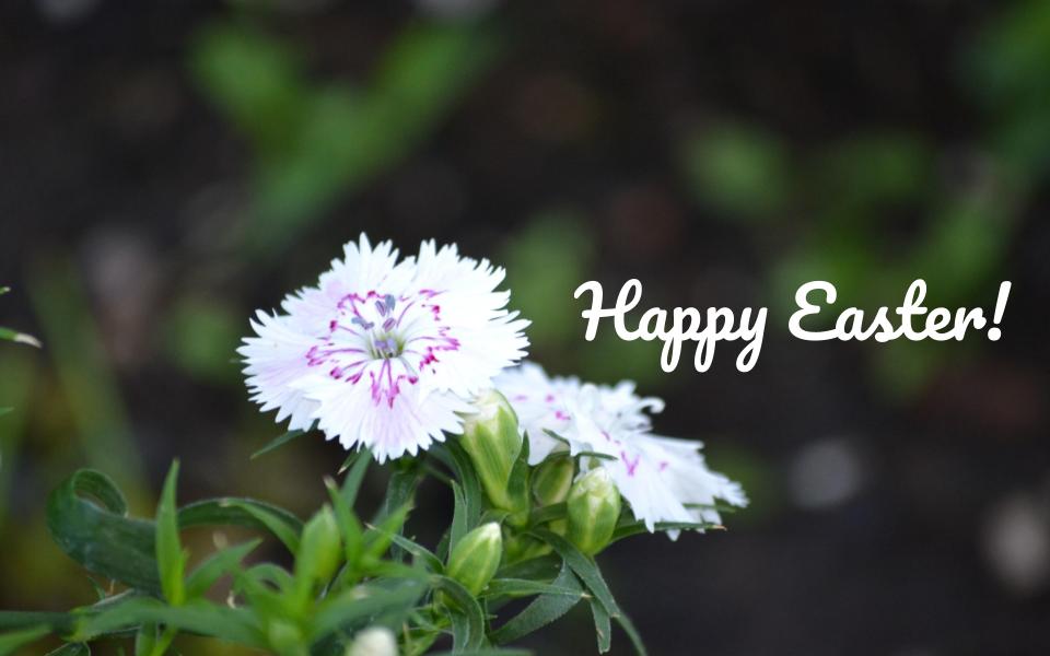Happy Easter