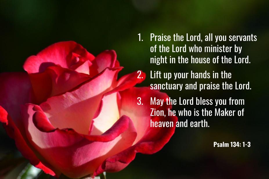May Scripture May Bible Verses – Aji's Home