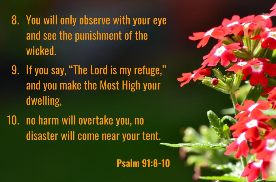 August Bible Verses – Aji's Home