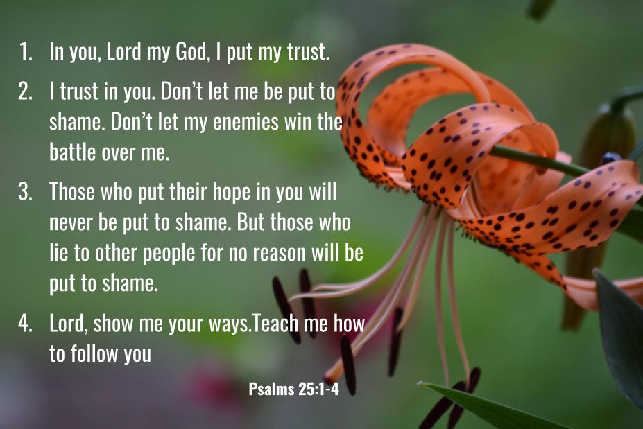 Psalm 25 in&nbsp;English