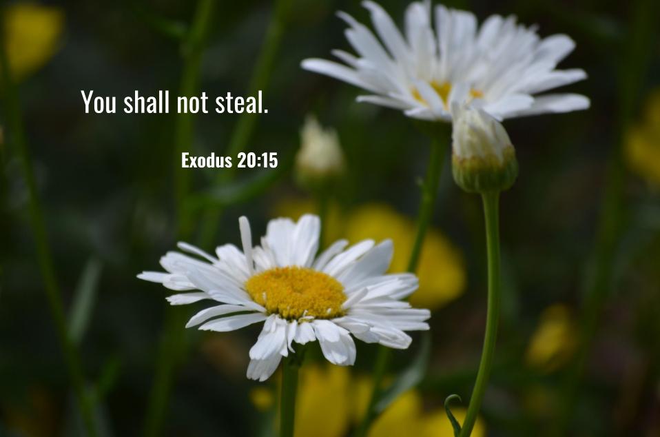 Monday Bible Memory Verse -Dec 7th 2020(8th Commandment Exodus&nbsp;20:15)