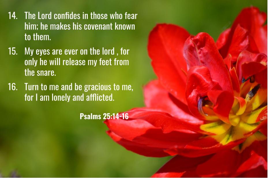 May Scripture May Bible Verses – Aji's Home