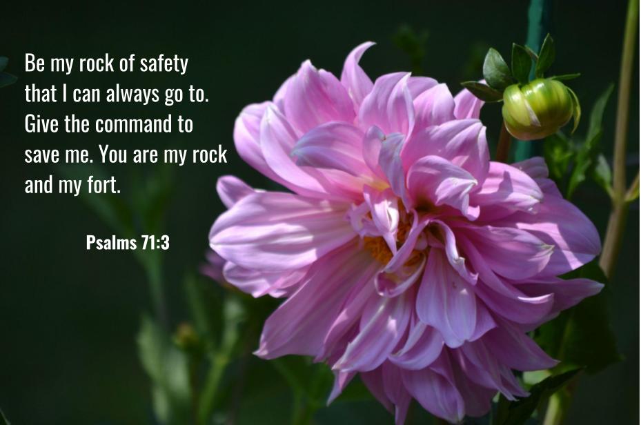Monday Bible Memory Verse-Psalm&nbsp;71:3