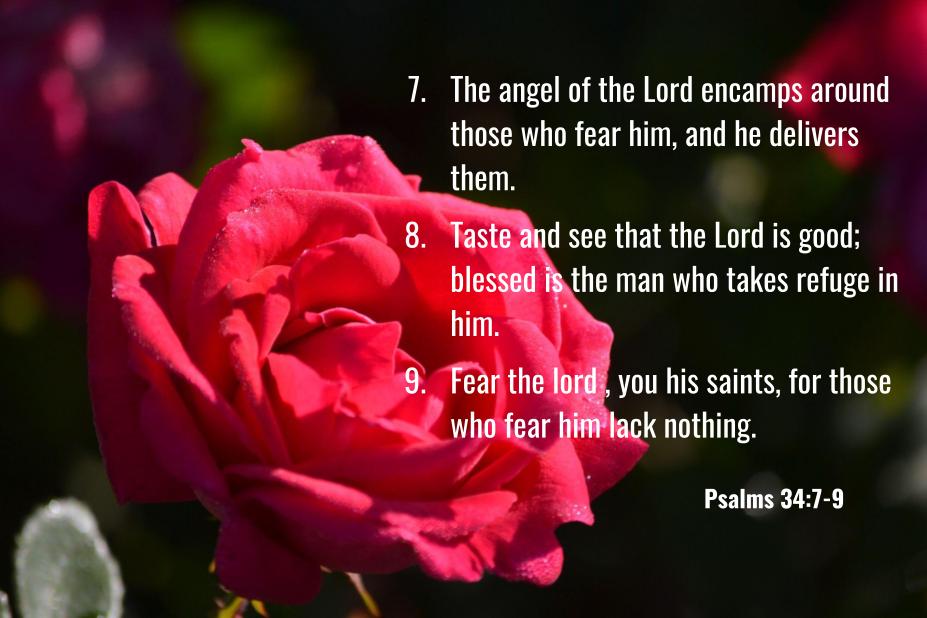 October Bible Verses