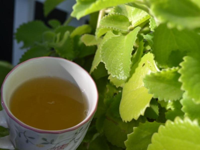 How To Make Ajwain&nbsp;Tea