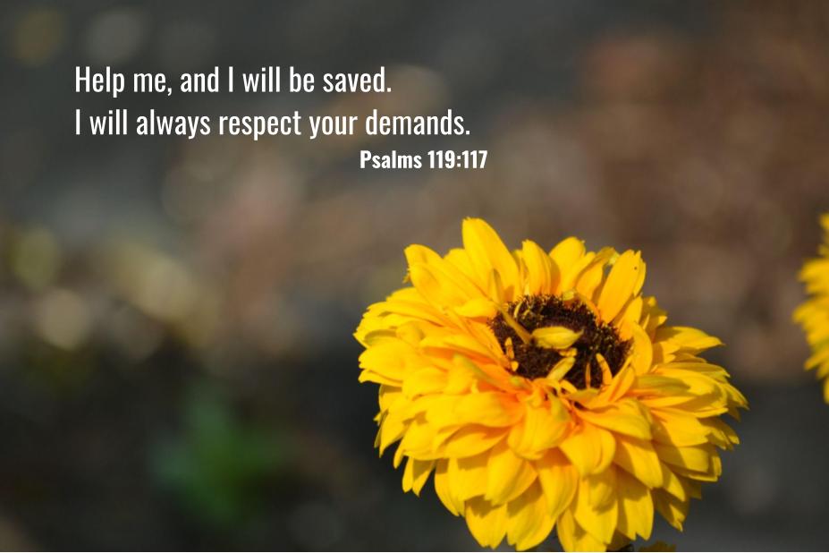 Monday Bible Memory Verse-Psalm&nbsp;119:117