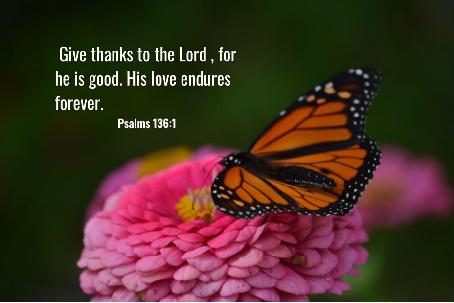 Monday  Bible Memory Verse –&nbsp;136:1