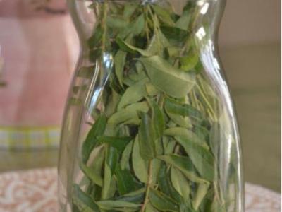Storing Fresh Curry&nbsp;Leaves