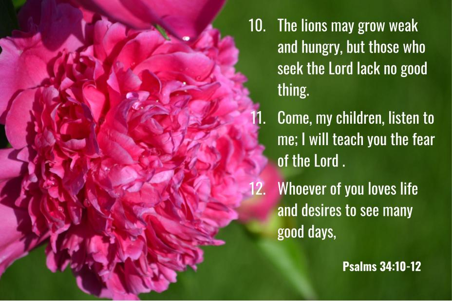 November Bible Verses