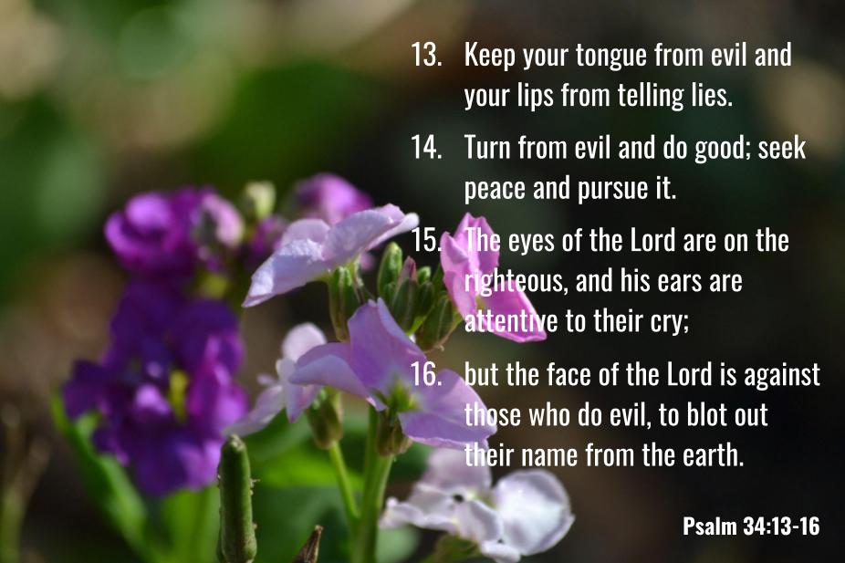 December Bible  Verses