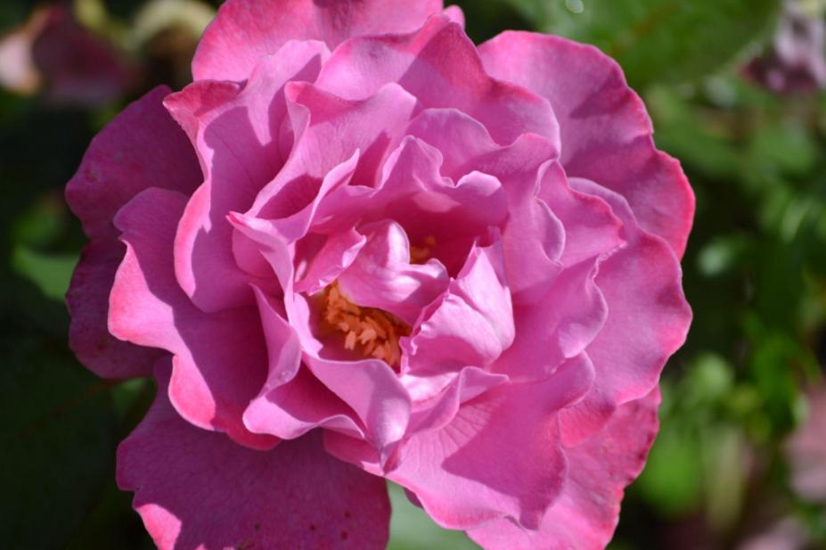 Picture of the&nbsp;day