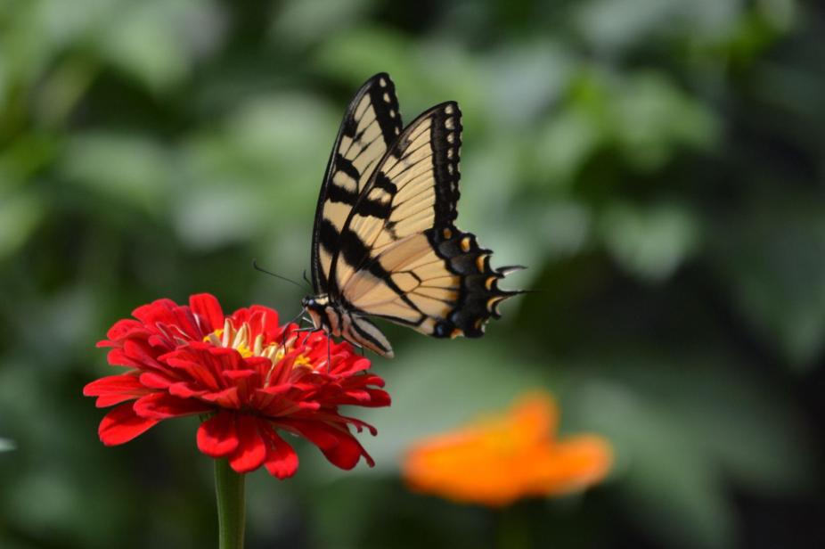 Picture of the&nbsp;day