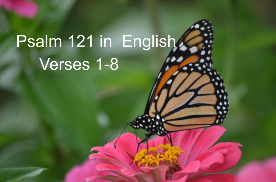 Psalm 121 in&nbsp;English