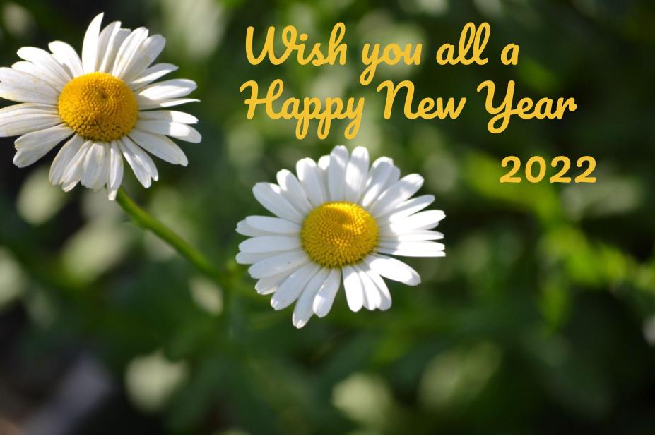 Happy New Year&nbsp;2022