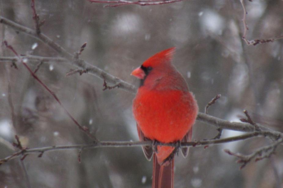 Picture of the&nbsp;day