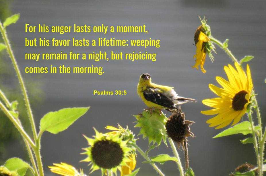 Psalm 30:5