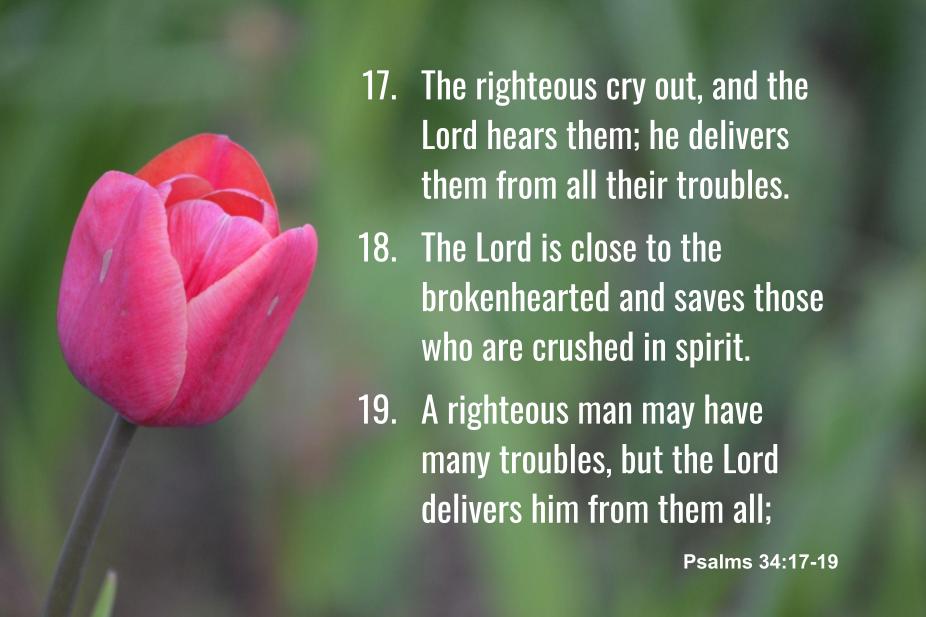 January Bible verses- Psalm 34:&nbsp;17-19