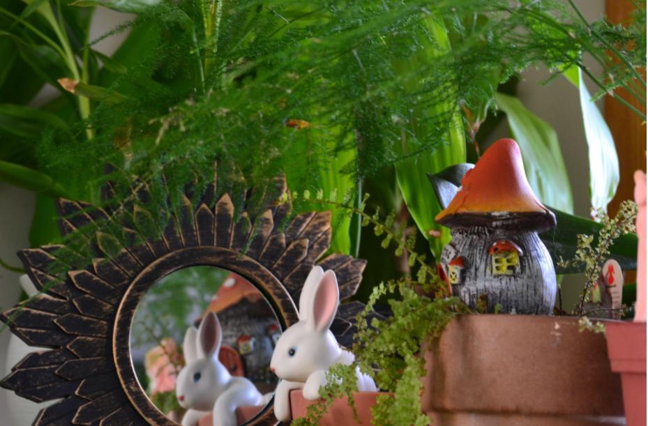 Indoor Fairy Garden