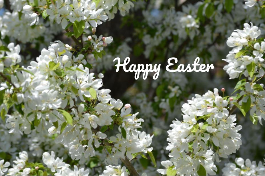 Happy Easter
