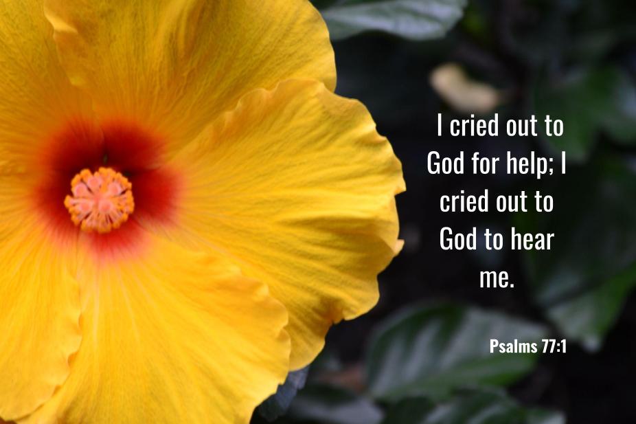 Psalm 77 1 Aji s Home psalm-77-1-aji-s-home