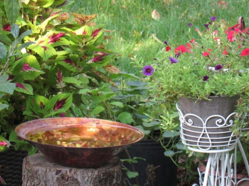 Top Ideas for Easy Garden Bird&nbsp;Baths
