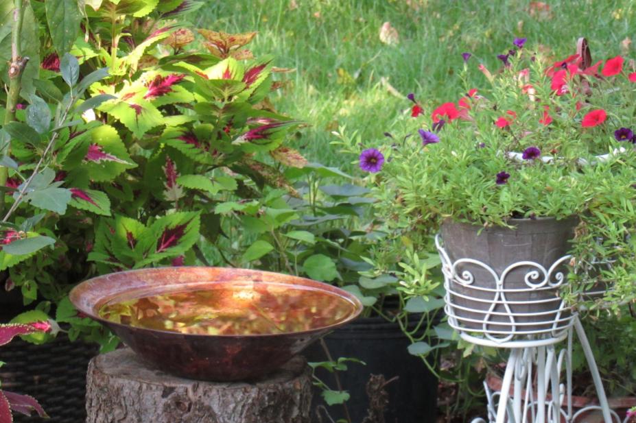 Top Ideas for Easy Garden Bird&nbsp;Baths