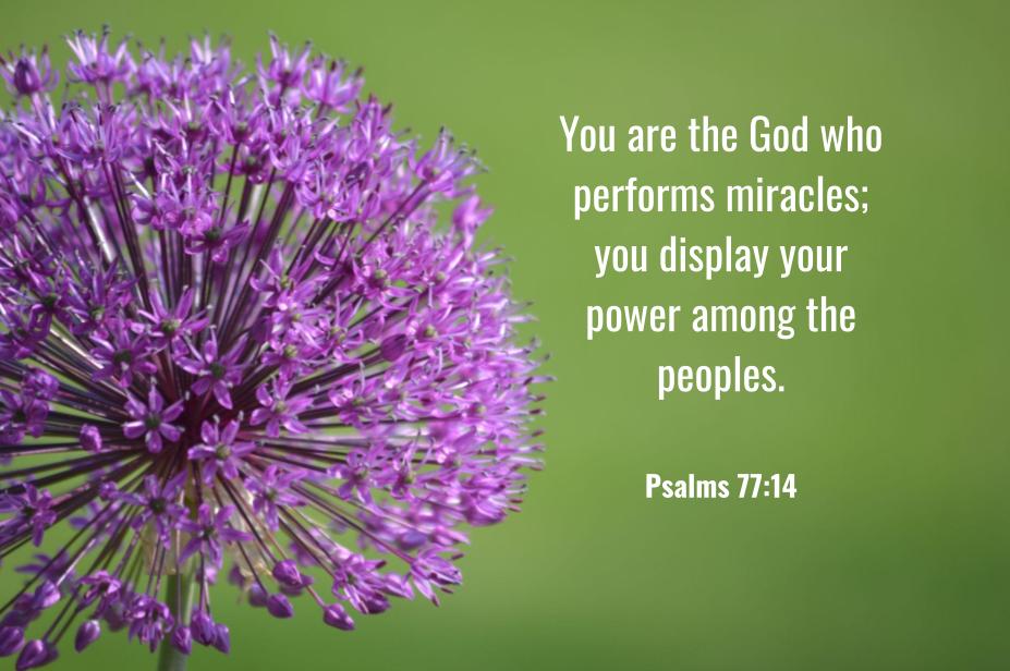 Psalm 77 14 Aji s Home psalm-77-14-aji-s-home