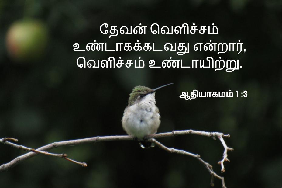 சிருஷ்டிப்பின் வரலாறு
