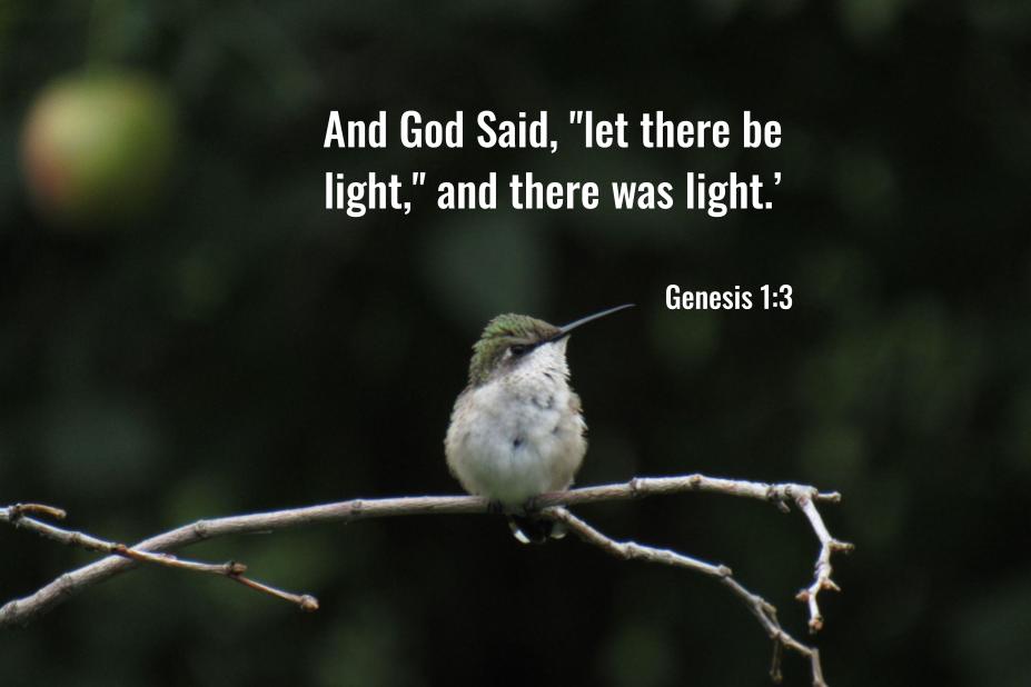 The Account of&nbsp;Creation