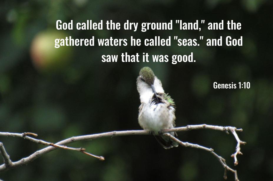 Genesis 1:10