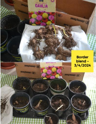 Planting season 2024