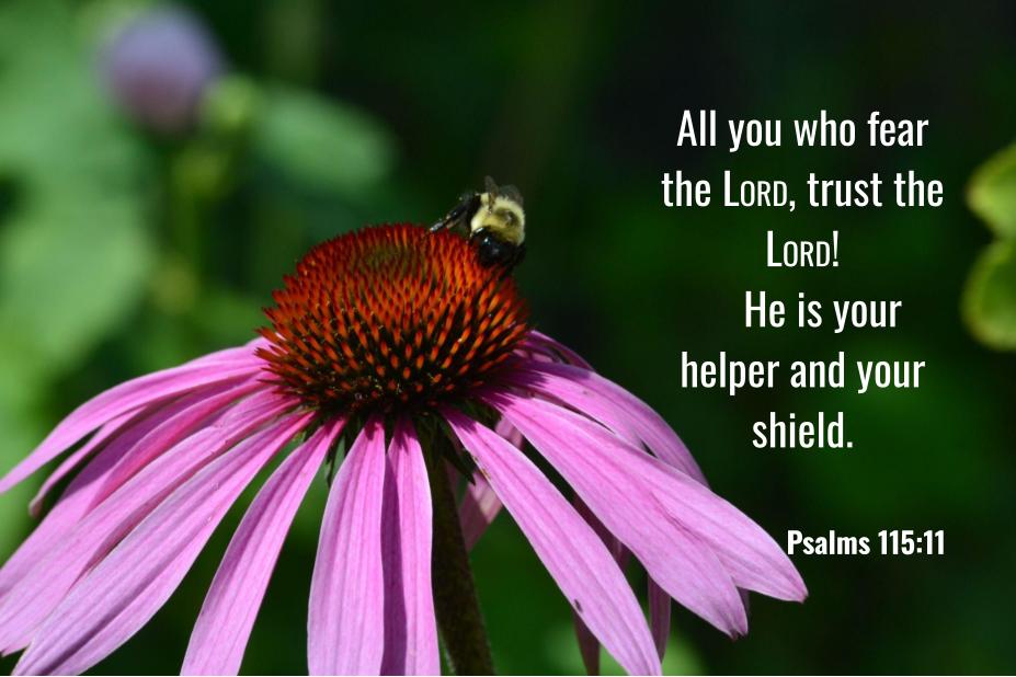 Psalm 115:11