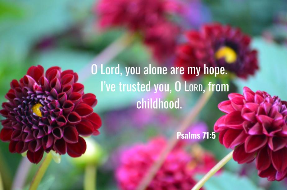 Psalms 71:5