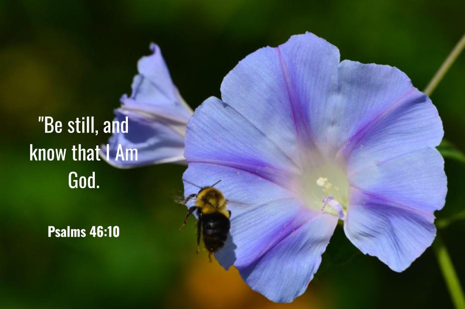 Psalm 46:10