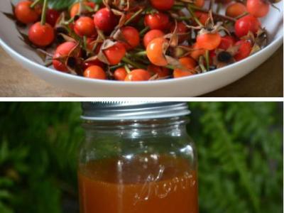 How to Make Rose Hip Syrup: A Step-by-Step&nbsp;Guide
