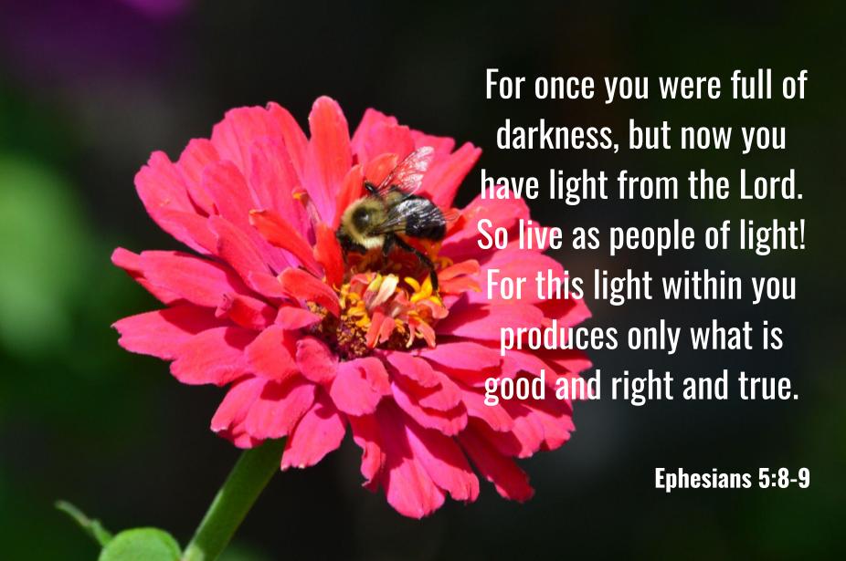 ephesians-5-8-9-aji-s-home