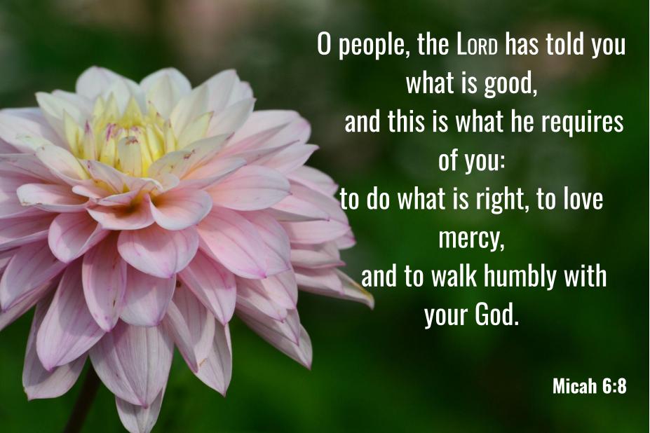 Micah 6:8
