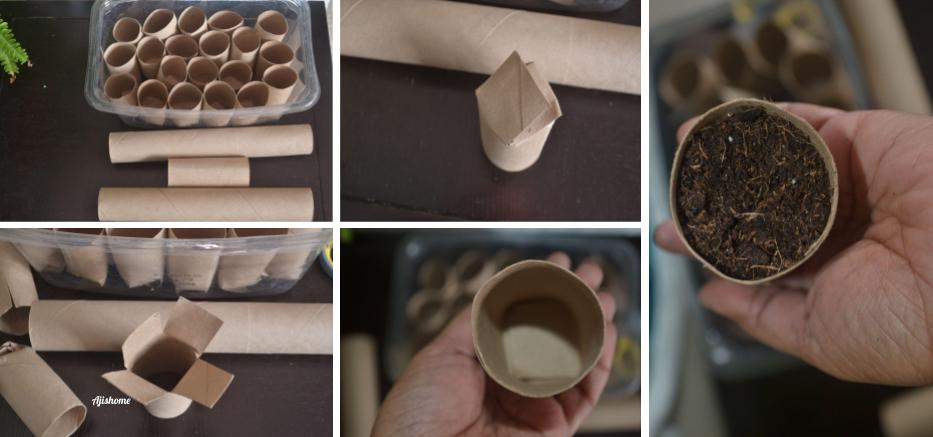 DIY Paper Roll Seed Boxes: A Sustainable Gardening&nbsp;Solution