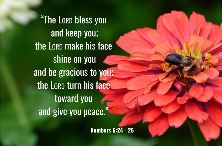 Numbers 6: 24&nbsp;-26