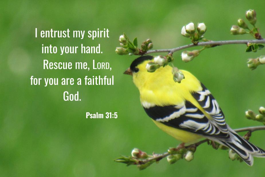 Psalm 31:5