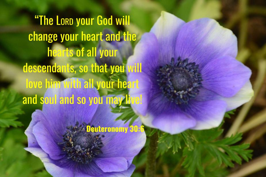 Deuteronomy 30:6